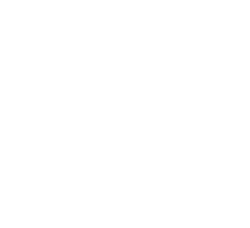 Professioneel resultaat